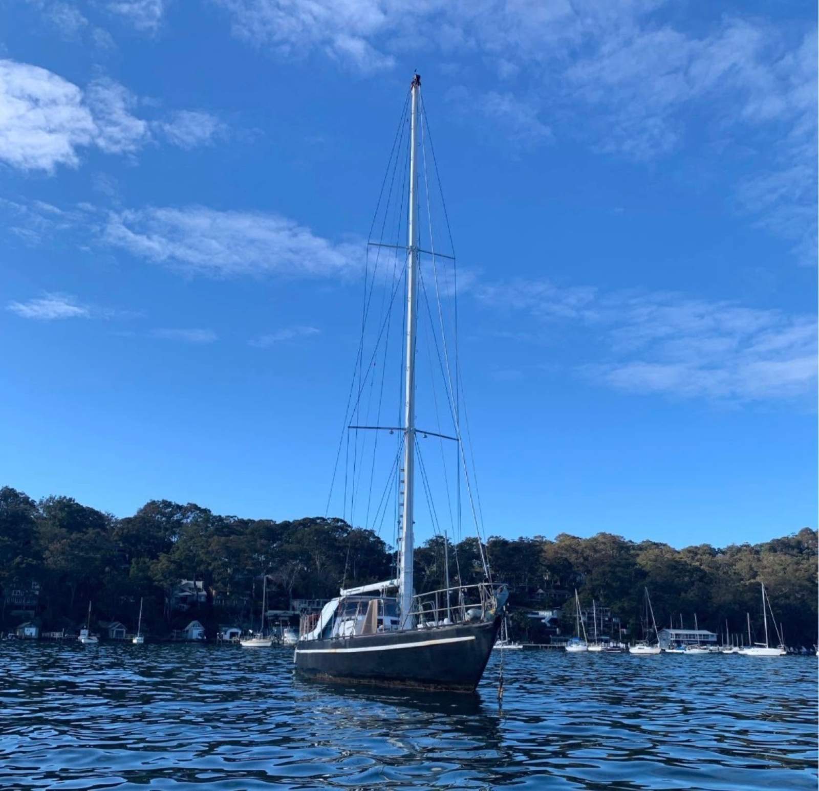 UNLEASH YOUR INNER PIRATE WITH THIS 50FT BEAST!