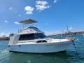 Mariner 31 Flybridge