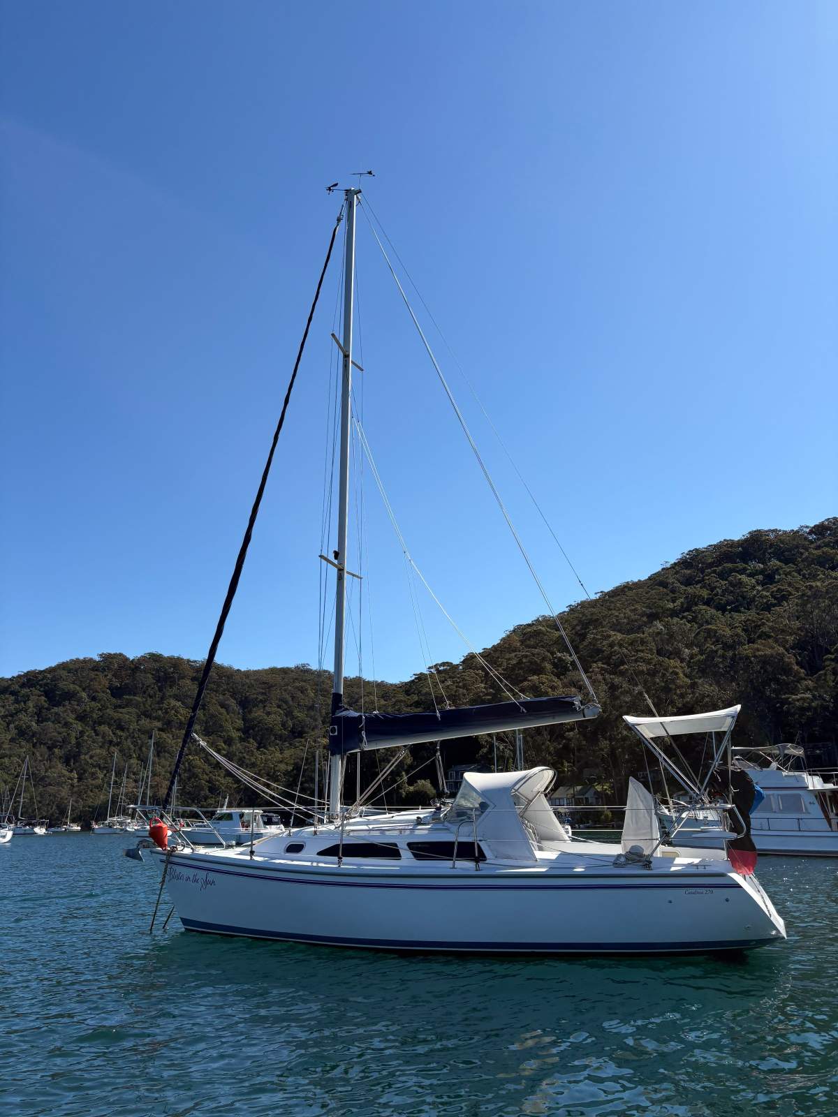 Catalina 270 "Blister in the Sun"