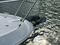 Beneteau Antares 8.80 OB