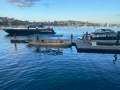 In survey 10m Aluminium Work / Dive Boat