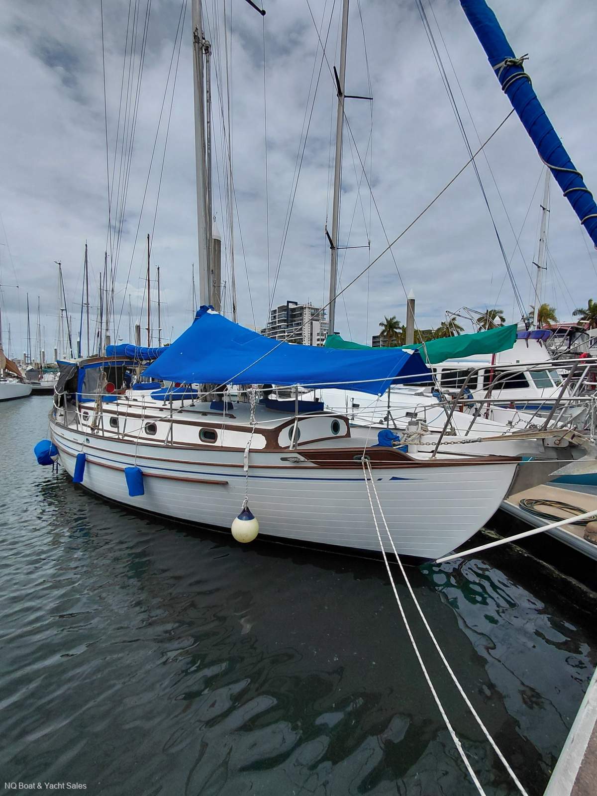 Tayana 37