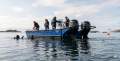 Stalwart Marine WB5900 Aluminium Work Boat Punt