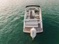 New Sea Ray 230 SDX OB