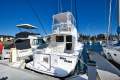 Riviera 38 Flybridge