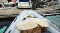 RIB-IT Boats AL500