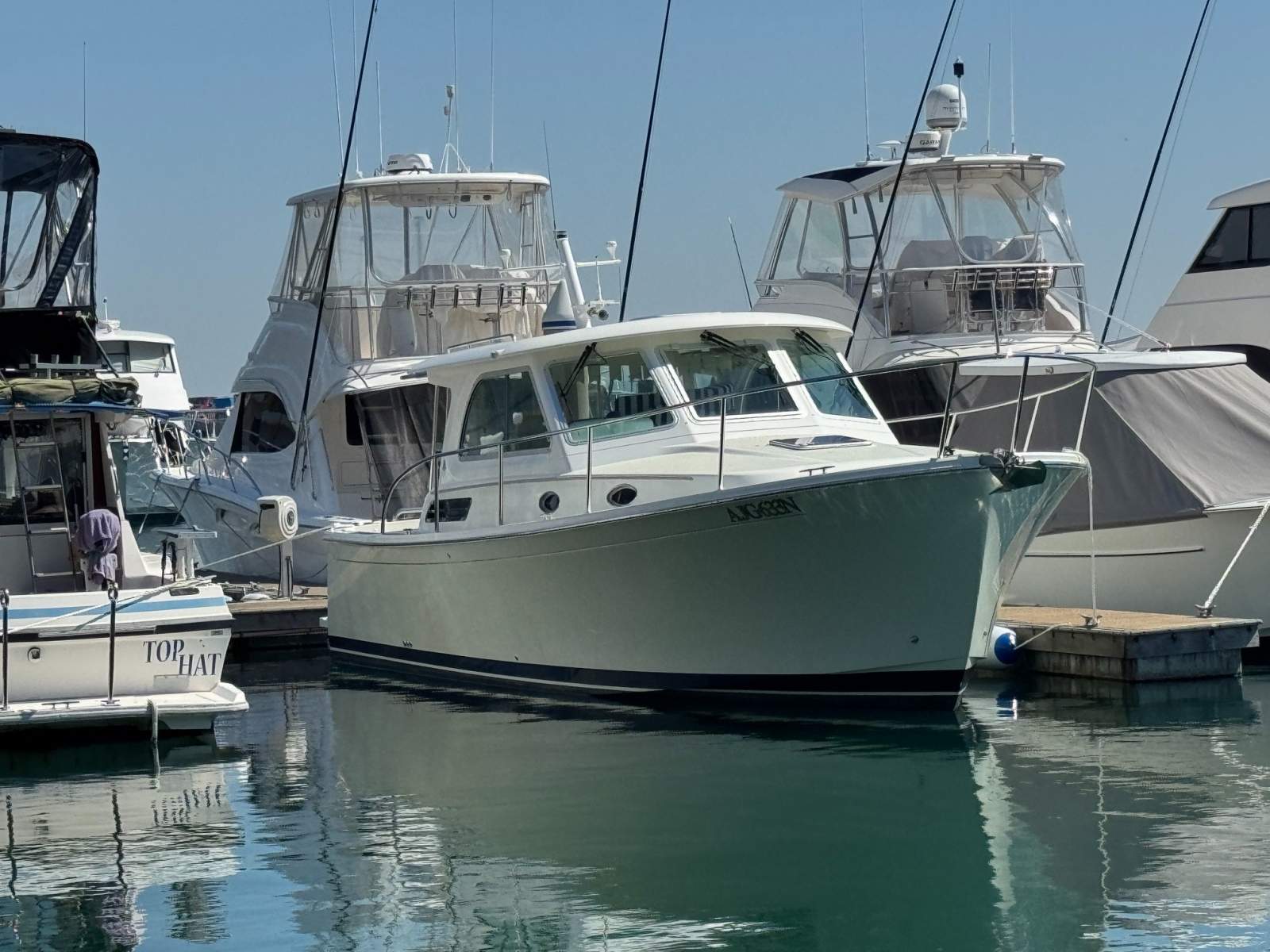 Back Cove 32