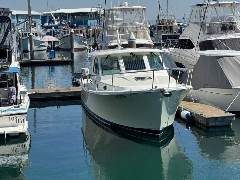 Back Cove 32