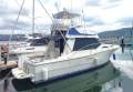 Steber 33 Gamefisher