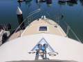 Steber 33 Gamefisher