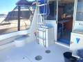 Steber 33 Gamefisher