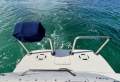 Sea Ray 290 Amberjack - Brand NEW Engines and Legs (2022)