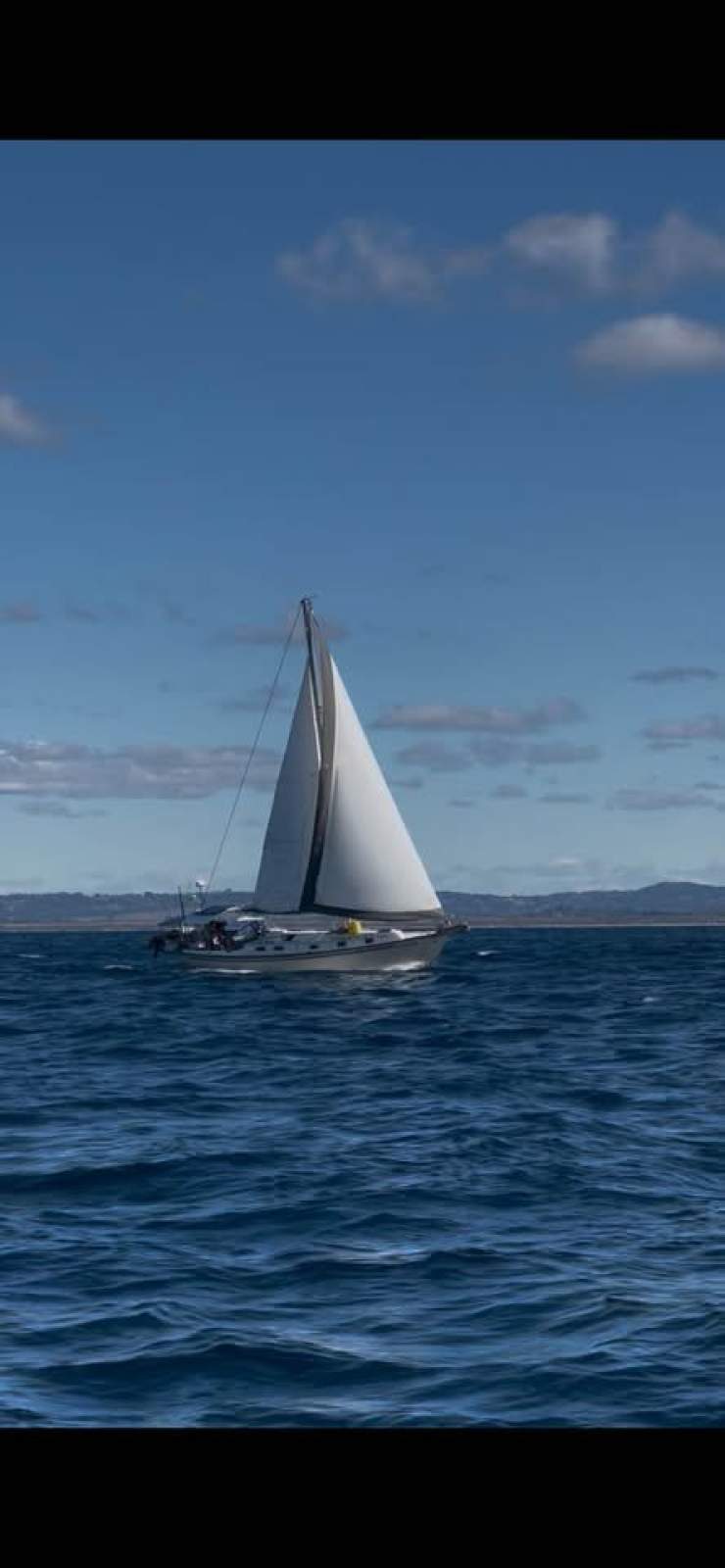 Pearson 424