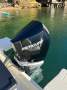 Arvor 805 Sportsfish 2025