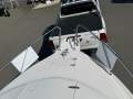 Caribbean Reef Runner 21