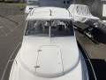 Caribbean Reef Runner 21
