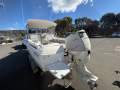 Caribbean Reef Runner 21