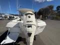 Caribbean Reef Runner 21
