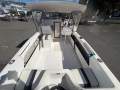 Caribbean Reef Runner 21
