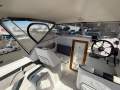 Caribbean Reef Runner 21