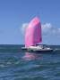 Kurt Hughes 37 Ocean Cruising Trimaran