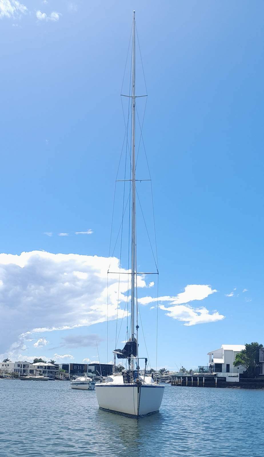 Adams 8