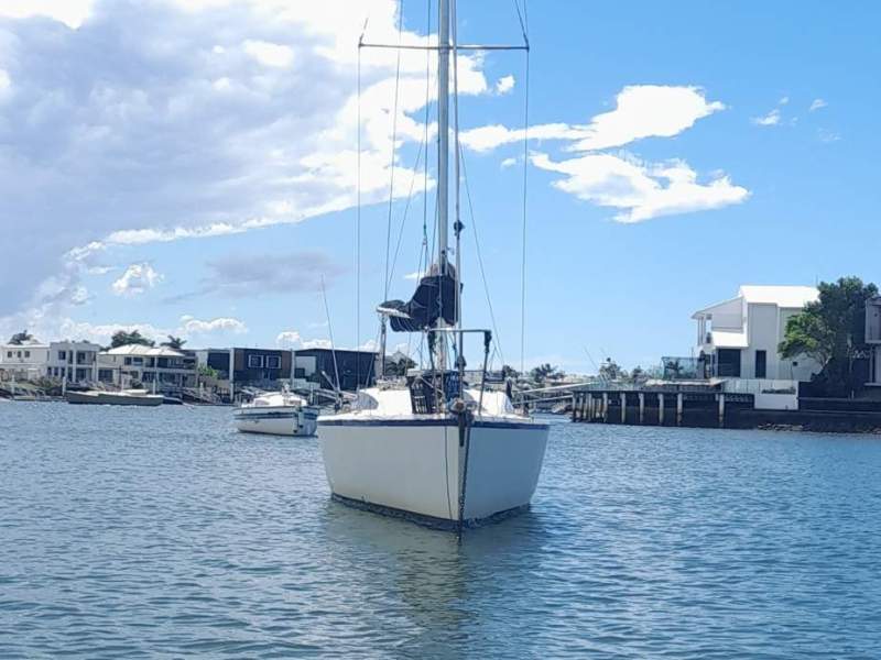 Adams 8