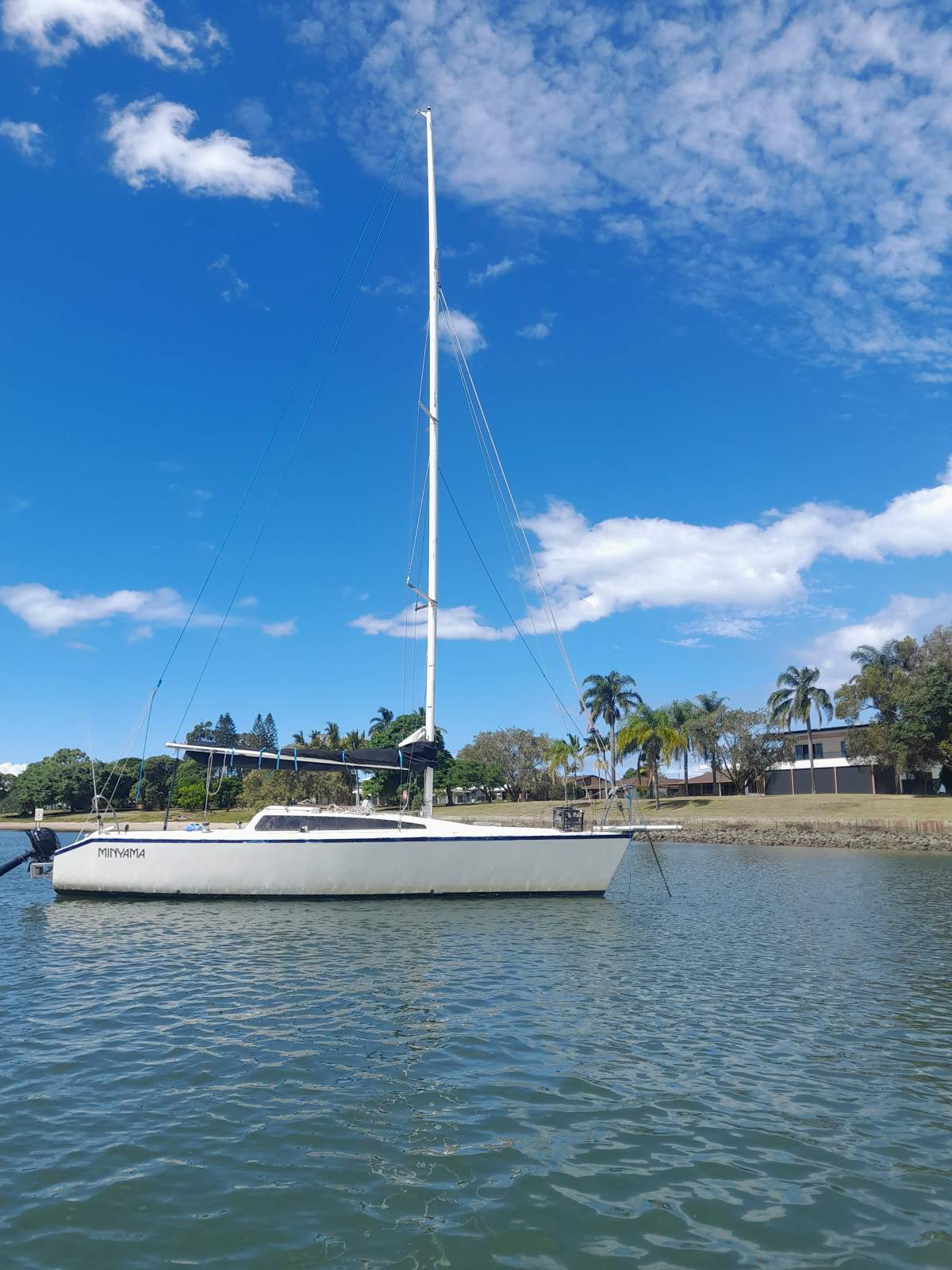 Adams 8