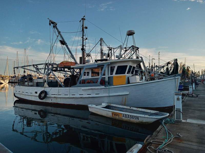 Bill Ryan 45 TIMBER TRAWLER CUMMINS N855 M TWIN DISC GEARBOX