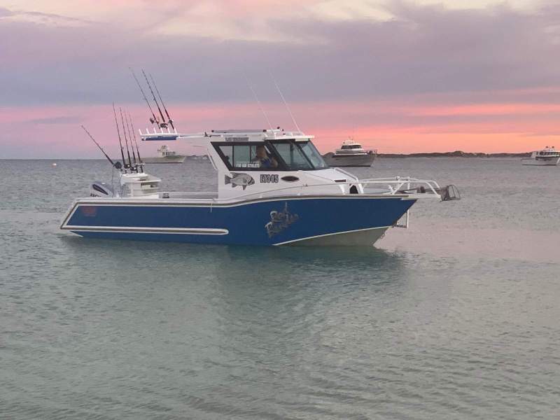 Redline 7.6m Walkaround Island Cab