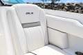 Sea Ray 250 SLX