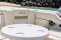 Sea Ray 250 SLX