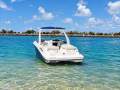 Sea Ray 250 SLX