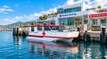 Stalwart Marine Ambulance Rescue Catamaran 11.00 x 3.50 Meter