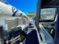 Rinker 260 Fiesta Vee - Fresh Water Cooled 5.7L V8