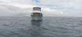 Grand Mariner 36ft - Classic Fly Bridge Cruiser