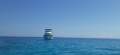 Grand Mariner 36ft - Classic Fly Bridge Cruiser