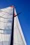 Baltic 51