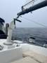 Baltic 51