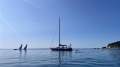 Baltic 51