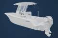 New Sea Fox 248 Commander