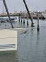 X-Yachts XP-50