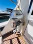 Bertram Caribbean 31 Flybridge Cruiser