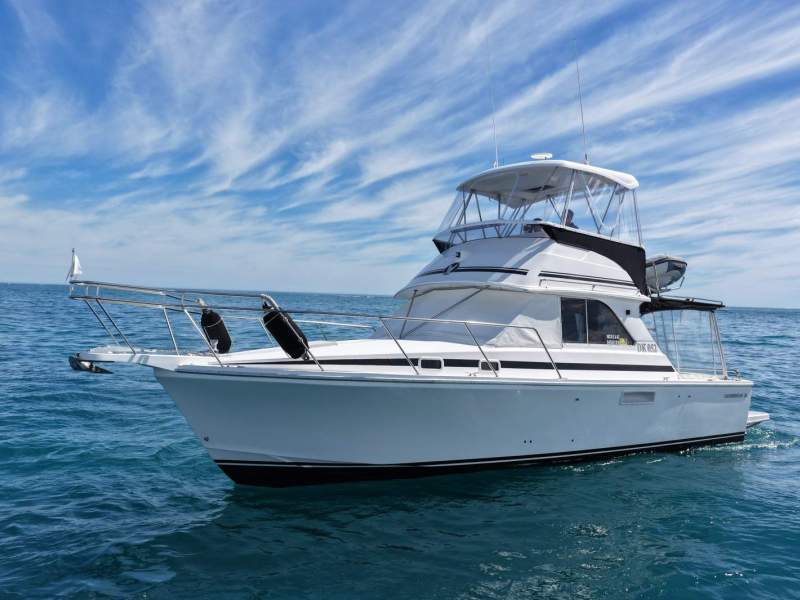 Caribbean 35 Flybridge Cruiser