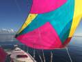Seawind 1250 | WHITE TIGER