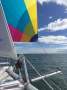 Seawind 1250 | WHITE TIGER