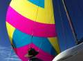 Seawind 1250 | WHITE TIGER