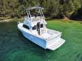 Black Watch 26