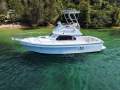 Black Watch 26