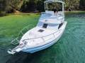Black Watch 26